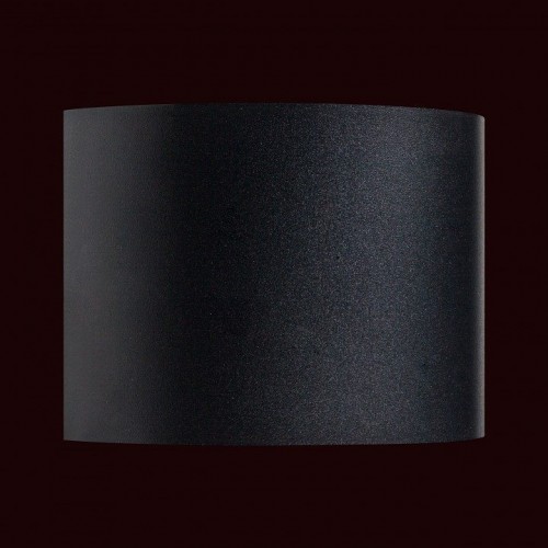 Настенный светильник уличный Lightstar Dalla 340557 Настенный светильник уличный Lightstar Dalla 340557