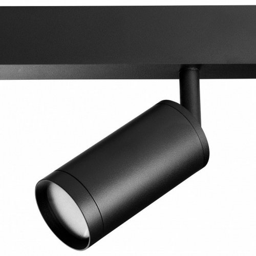 Светильник на штанге Lightstar Teta 205027R