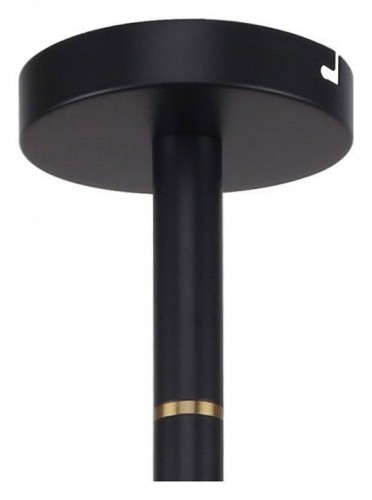 Подвесная люстра Favourite Eternity 2766-12P