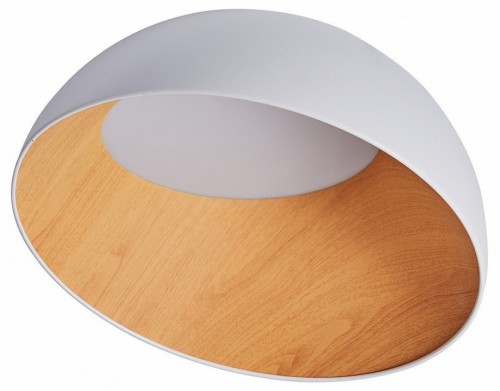 Потолочный светильник Zortes Baum ZRS.01201.19