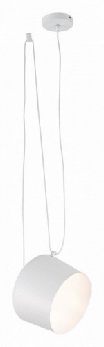 Подвесной светильник Evoluce Trieste SLE120653-01 Подвесной светильник Evoluce Trieste SLE120653-01