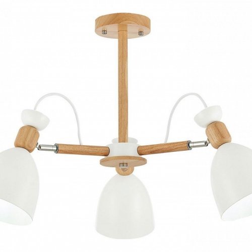 Потолочная люстра Evoluce Balcamo SLE103802-03