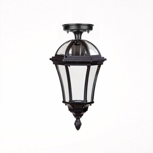 Потолочный светильник уличный Oasis Light ROMA S 95205SA Bl