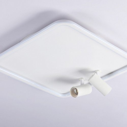 Потолочный светильник Comfort FL5114