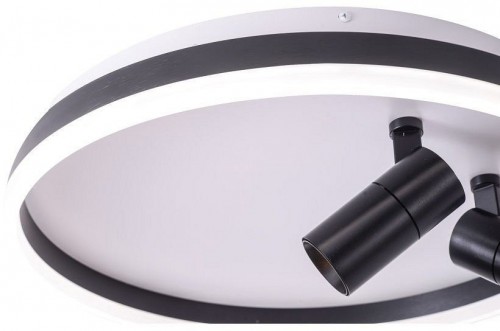 Потолочный светильник Zortes Raizy ZRS.1888.01