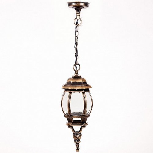 Уличный светильник подвесной Oasis Light 83405S Gb