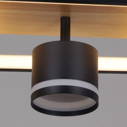 Потолочная люстра  19560-0.3-2+2 BK+WOOD