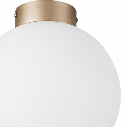 Настенно-потолочный светильник Lightstar Globo 812023