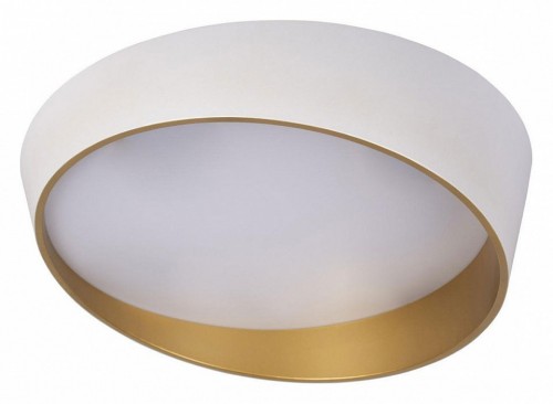 Потолочный светильник Loft IT Coin 10199 White