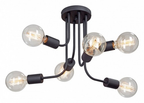 Потолочная люстра Vitaluce V4960-1/6PL Потолочная люстра Vitaluce V4960-1/6PL