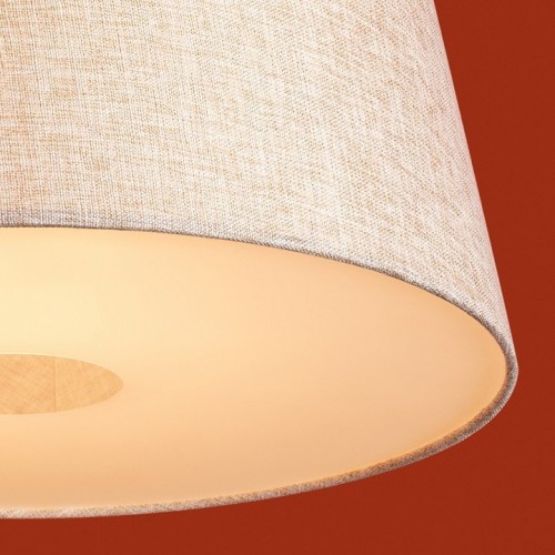 Подвесной светильник Freya Butler FR2057PL-01BG