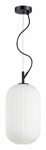 Подвесной светильник Odeon Light Roofi 4751/1