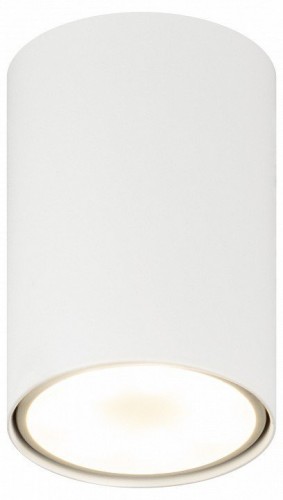 Накладной светильник Эра  OL57 WH