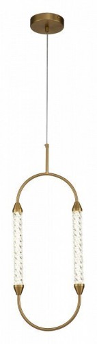 Подвесной светильник Indigo Ellisse 14005/1P Gold