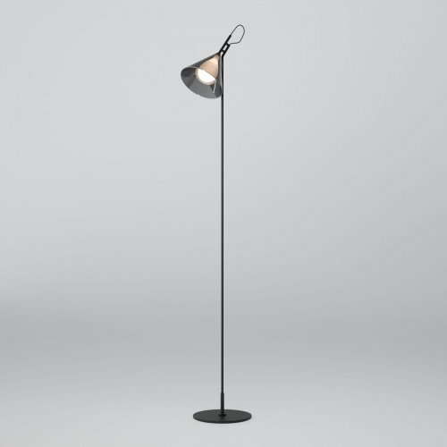 Торшер Eurosvet Enigma 01187/1 черный