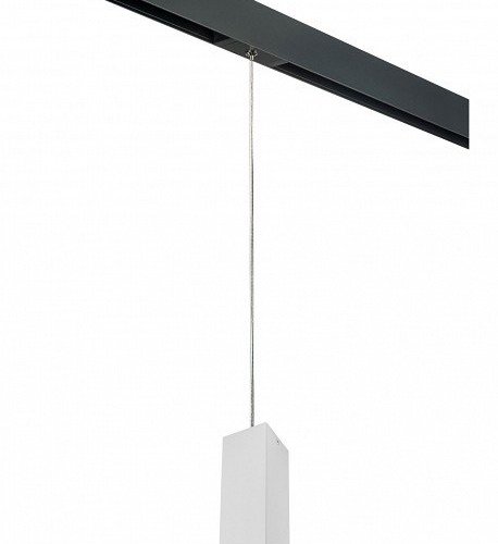 Подвесной светильник Lightstar Rullo PRORP6396