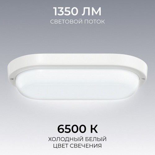 Светильник светодиодный герметичный OGM О28-12