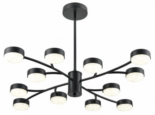 Потолочная люстра Lumion Torina 8117/12