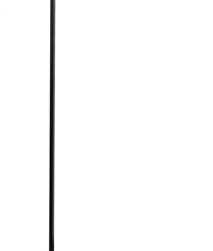 Торшер Odeon Light Fillini 4335/6FL