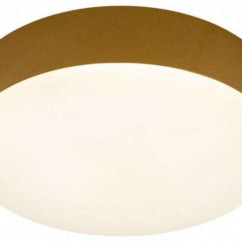 Потолочный светильник ЭРА Relict 22 SPB-6-20 4К MG