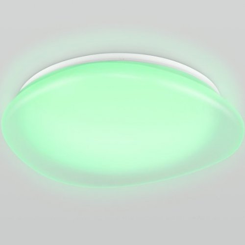 Потолочный светильник Orbital FZ1610