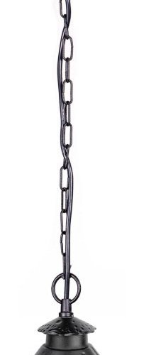 Уличный светильник подвесной Oasis Light CAIOR 1 81505 Bl