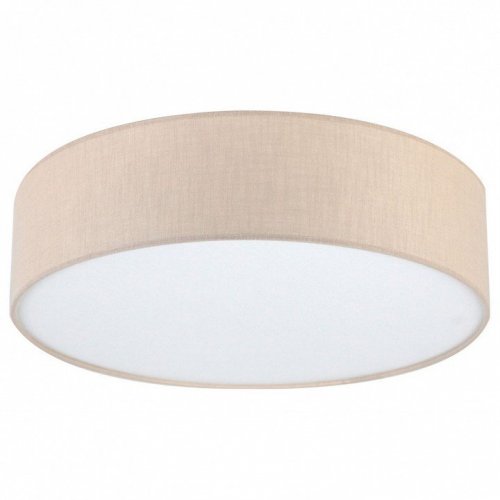 Потолочный светильник Lighthall Turdan 50 LH022032 Потолочный светильник Lighthall Turdan 50 LH022032