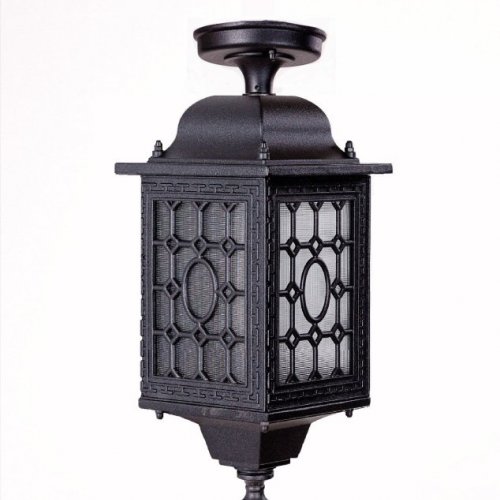 Потолочный светильник уличный Oasis Light LONDON S 64805SA cover Bl