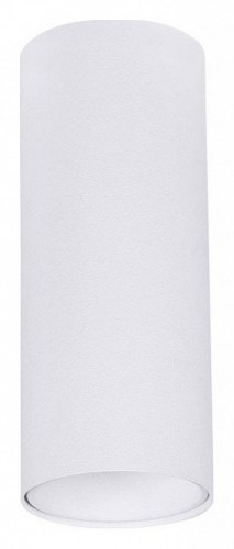 Точечный светильник Arte Lamp Net Mini A6450PL-1WH