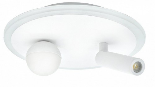 Настенно-потолочный светильник Escada 20022LED 20022SMA/01LED SWH