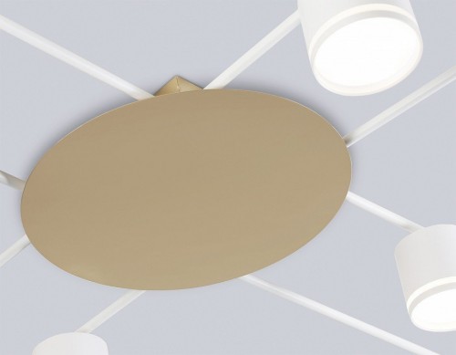 Потолочная люстра Comfort FL51759