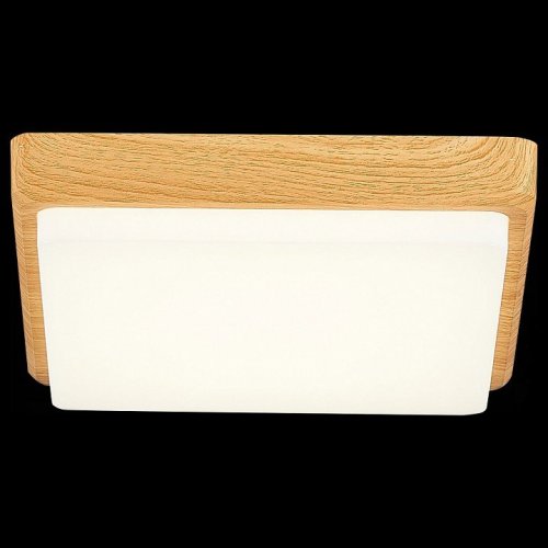 Потолочный светодиодный светильник Evoluce Taddio SLE200202-01