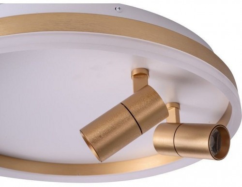 Потолочный светильник Zortes Raizy ZRS.1888.02