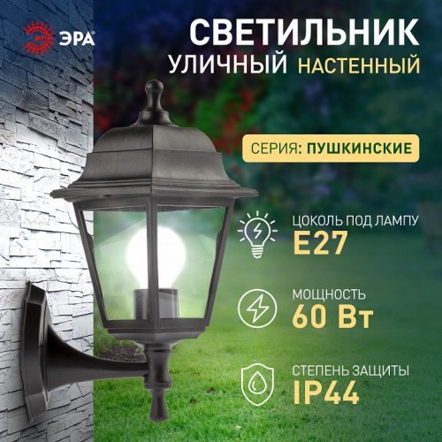 Светильник на штанге Эра  НБУ 04-60-001 черный