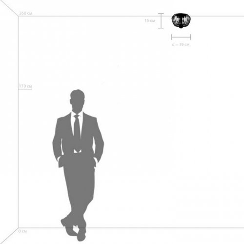 Накладной светильник Lightstar Celesta 809000 Накладной светильник Lightstar Celesta 809000