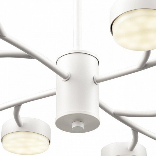 Потолочная люстра Lumion Torina 8265/12