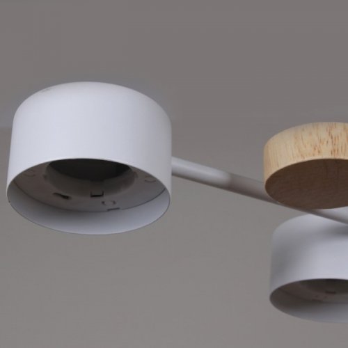 Потолочная люстра Reluce 03758-0.3-10 WT+WOOD GX53