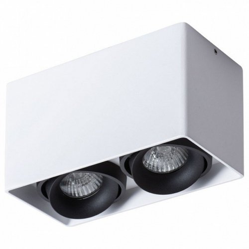 Потолочный светильник Arte Lamp Pictor A5654PL-2WH Потолочный светильник Arte Lamp Pictor A5654PL-2WH