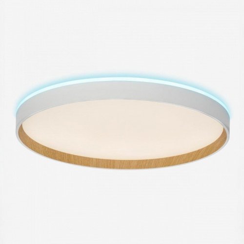 Накладной светильник Citilux ETALON CL750400R Накладной светильник Citilux ETALON CL750400R