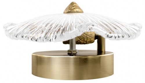 Настенный светильник Loft IT Bloom 10352W/A AB