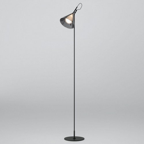 Торшер Eurosvet Enigma 01187/1 черный