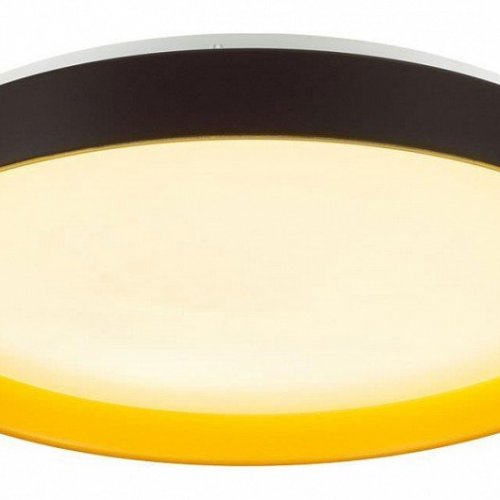 Настенно-потолочный светильник Tuna Yellow 7711/EL