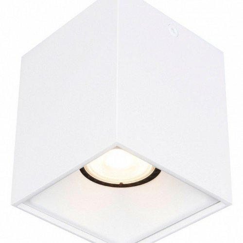 Точечный светильник ST Luce ST168.502.01 Точечный светильник ST Luce ST168.502.01