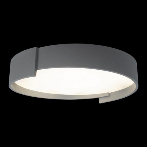 Потолочный светильник Loft IT Coin 10200 Grey Потолочный светильник Loft IT Coin 10200 Grey