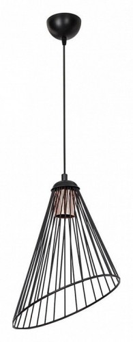 Подвесной светильник Toplight Jeannine TL1608H-01BK