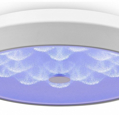 Накладной светильник Freya LED FR10012CL-L24W