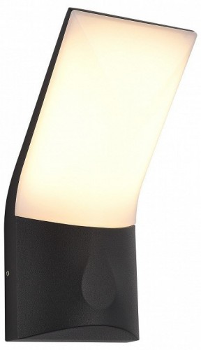 Настенный светильник уличный ST Luce Bright SL9543.701.01