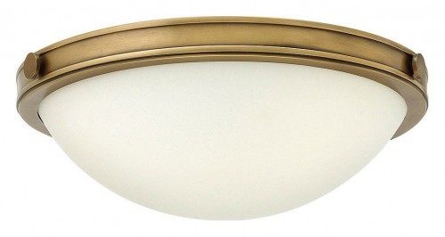 Накладной светильник Hinkley Collier HK/COLLIER/F/S Накладной светильник Hinkley Collier HK/COLLIER/F/S