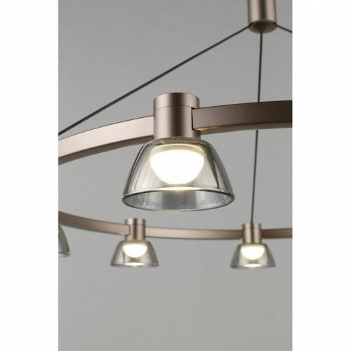 Подвесной светодиодный светильник Aployt Rezeda APL.788.03.09