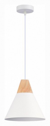 Подвесной светильник Evoluce MODICA SLE125103-01